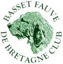 Basset Fauve De Bretagne Club