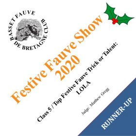 Digital Dog Show – Class 5 – Runner-up – Prize Card Digital Dog Show - Class 5 - Runner-up - Prize Card