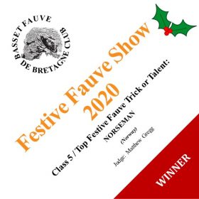 Digital Dog Show – Class 5- Winner – Prize Card Digital Dog Show - Class 5- Winner - Prize Card